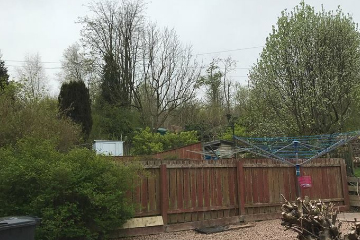 Cypress removal for a client in Penicuik, after photo