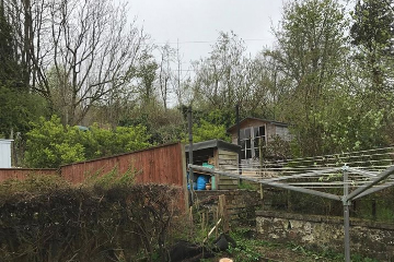 Cypress removal for a client in Penicuik, after photo