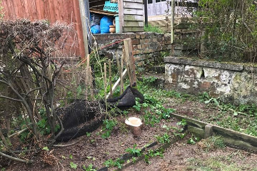 Cypress removal for a client in Penicuik, after photo